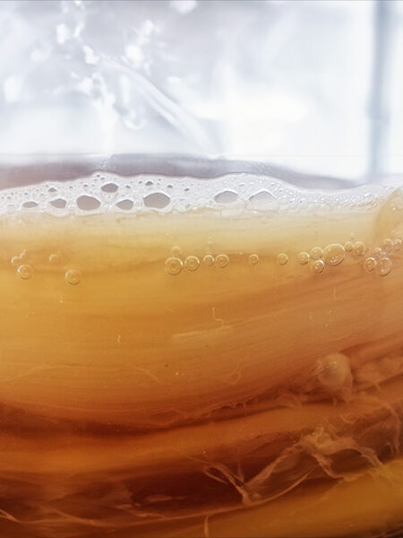 ombucha starter kit with SCOBY and organic kombucha starter.