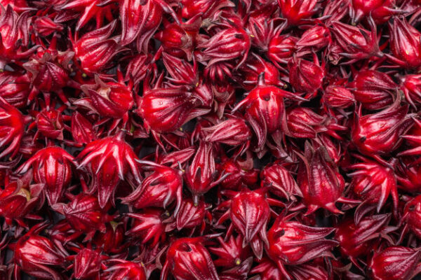 Roselle (Hibiscus) Kombucha - Image 2